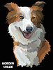 Vector clipart: Colorful Border collie image