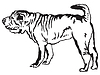 Decorative standing portrait of Shar Pei