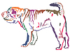 Colorful decorative standing portrait of Shar Pei