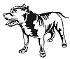 Decorative standing portrait of American Pit Bull
