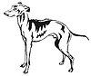 Decorative standing portrait of Italian Greyhound
