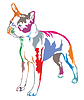 Colorful decorative standing portrait of boston