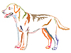 Colorful decorative standing portrait of Labrador