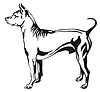 Decorative standing portrait of Thai Ridgeback