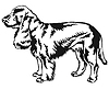 Decorative standing portrait of dog Field Spaniel