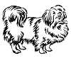 Decorative standing portrait of dog Pekingese