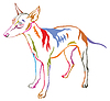 Colorful decorative standing portrait of dog Cirnec