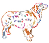 Colorful decorative standing portrait of dog