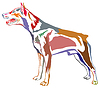 Colorful decorative standing portrait of dog