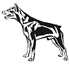 Decorative standing portrait of dog Miniature