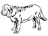 Decorative standing portrait of dog Spanish