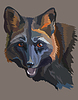 portrait of black fox