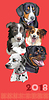 Postcard with dogs of different breeds-