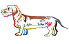 Colorful decorative standing portrait of Dachshund