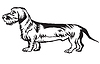 Decorative standing portrait of Dachshund