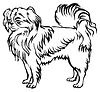 Decorative standing portrait of Japanese Chin
