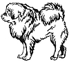 Decorative standing portrait of Tibetan Mastiff