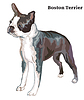 Colored decorative standing portrait of boston