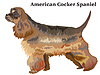 Vector clipart: Colored decorative standing portrait of American