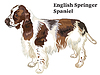 Vector clipart: Colored decorative standing portrait of English