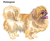 Colored decorative standing portrait of dog