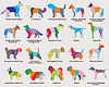 set of colorful mosaic dogs silhouettes-