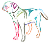 Colorful decorative standing portrait of Petit