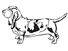 Decorative standing portrait of Basset Hound