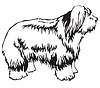 Decorative standing portrait of Old English Sheepdo