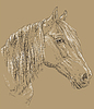 Horse portrait-6 on brown background | Stock Vector Graphics