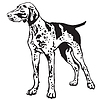 Decorative standing portrait of German Shorthaired