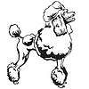 Decorative standing portrait of Poodle