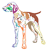 Colorful decorative standing portrait of German