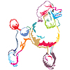 Colorful decorative standing portrait of Poodle