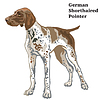 Colored decorative standing portrait of German