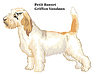 Colored decorative standing portrait of Petit Basse