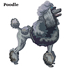 Vector clipart: Colored decorative standing portrait of Poodle