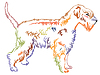 Colorful decorative standing portrait of Soft-coate