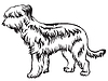 Decorative standing portrait of Briard