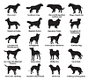 Vector clipart: Set of dogs silhouettes-