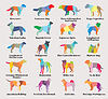 Vector clipart: set of colorful mosaic dogs silhouettes-