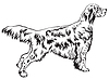 Vector clipart: Decorative standing portrait of English Setter