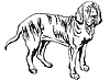 Vector clipart: Decorative standing portrait of Fila Brasileiro