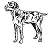 Vector clipart: Decorative standing portrait of German Wirehaired
