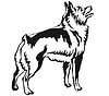 Vector clipart: Decorative standing portrait of Schipperke