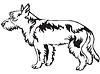 Vector clipart: Decorative standing portrait of Wire Coat Portugues