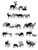 Groups of deers silhouettes