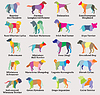 Vector clipart: set of colorful mosaic dogs silhouettes-