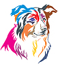 Colorful decorative portrait of Border Collie