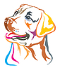 Colorful decorative portrait of Labrador Retriever